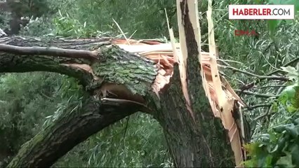 İzmit'te Saat 16.30'da Gece Karanlığı