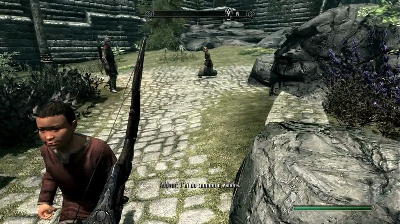Skyrim 106