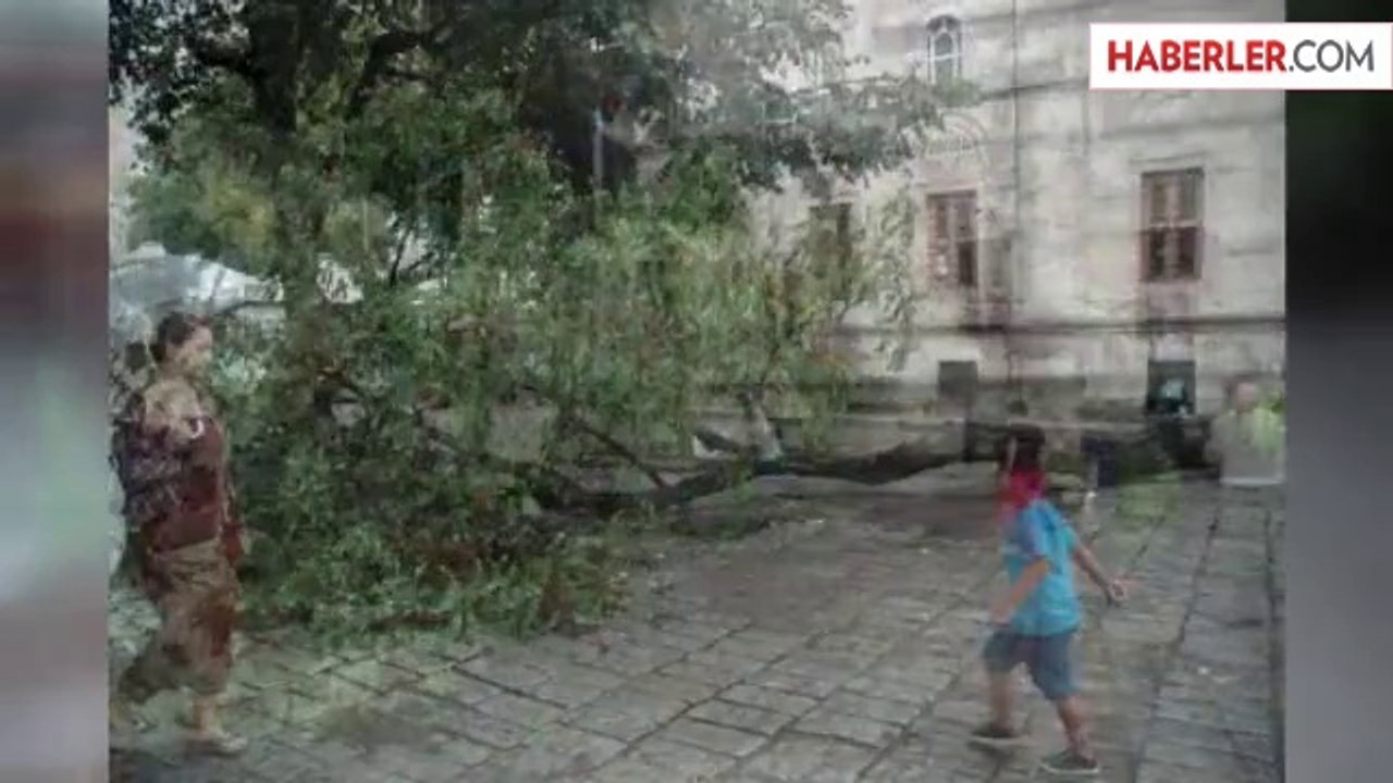 İstanbul'da 20 Metrelik Akasya Ağacı Devrildi: 2 Kişi Ağır Yaralı