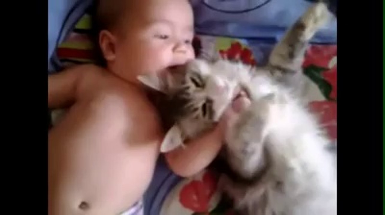 minik kedinin bebek sevgisi