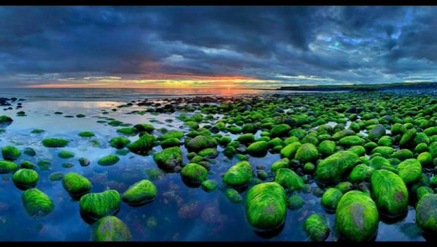 Doğanay & Enginde yavaş yavaş günün minesi soldu