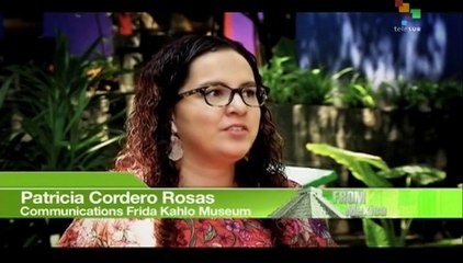 Interviews From Mexico