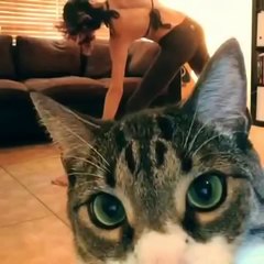 Un chat perturbe une séance de Yoga