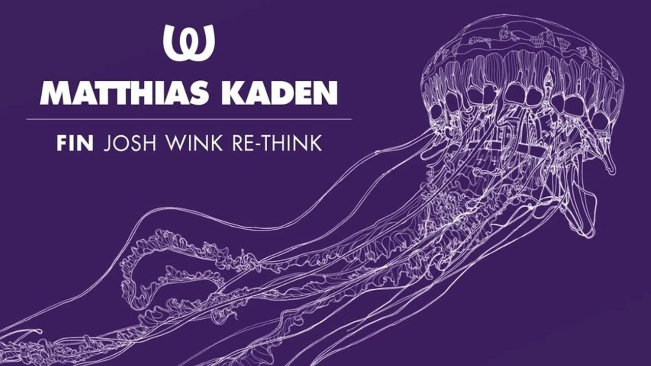Mathias Kaden -  Fin (Josh Wink Re-Think)