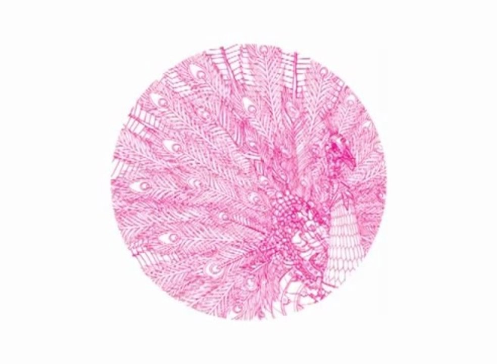 WG Vinyl 003 - Peacock EP: Lee Jones - Kreuzberg 61