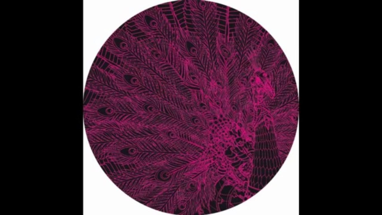 WG Vinyl 004 - Peahan EP: Acid Pauli - December