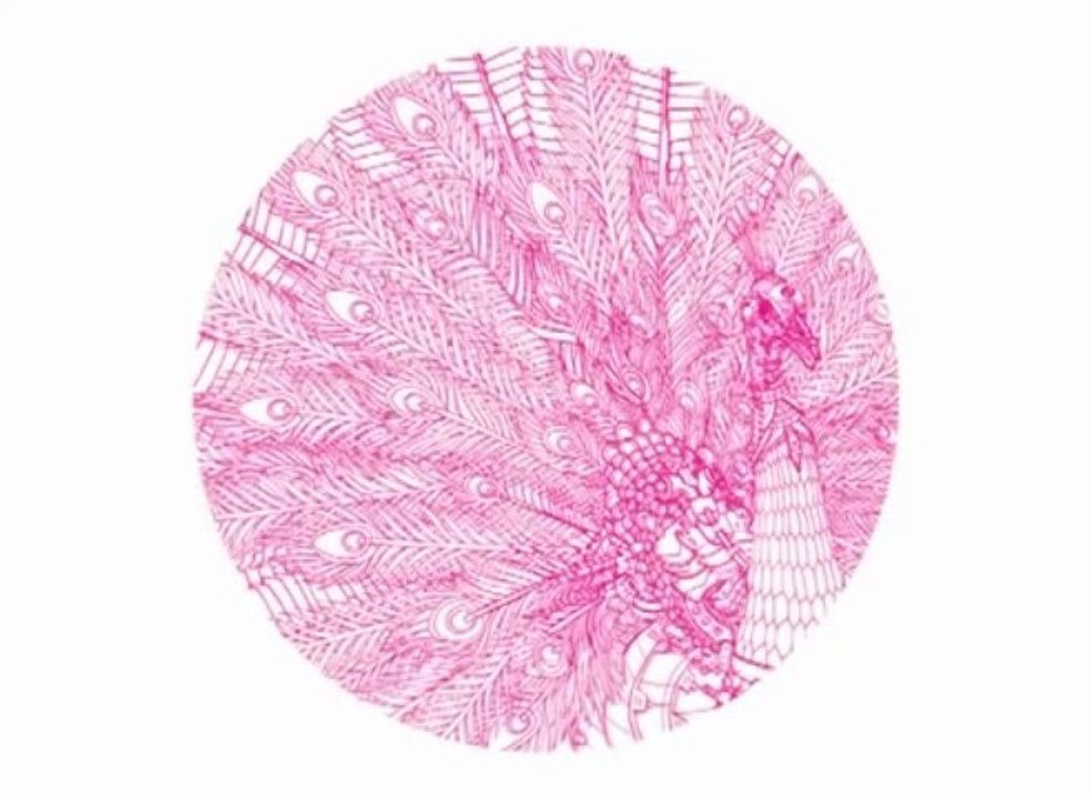 WG Vinyl 003 - Peacock EP: Matthias Meyer & LeeJones - Basic Chord Tool