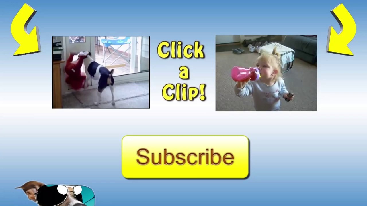 Llama Spits On Kid