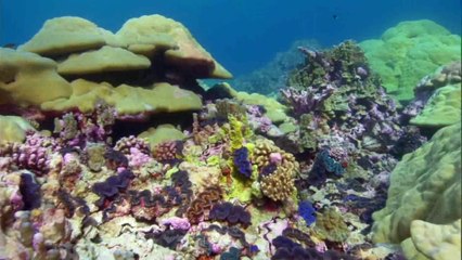 جنوب الـمـحـيـط الـهـادي الحلقه الرابعه محيط البراكين BBC