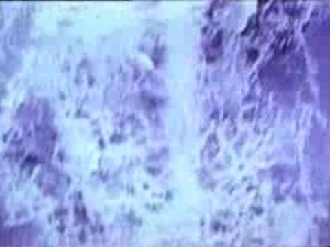 Front Line Assembly - Iceolate