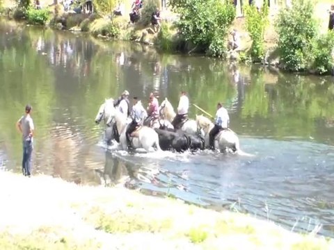 Feria Ales 2014 Gaze Manade Lafon