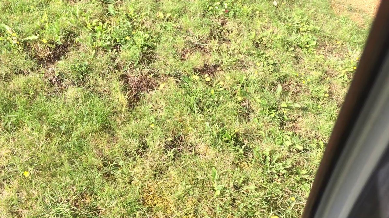 Demarrage Froid MERCEDES C220 CDI