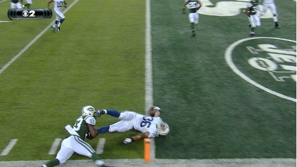 Herron TD catch