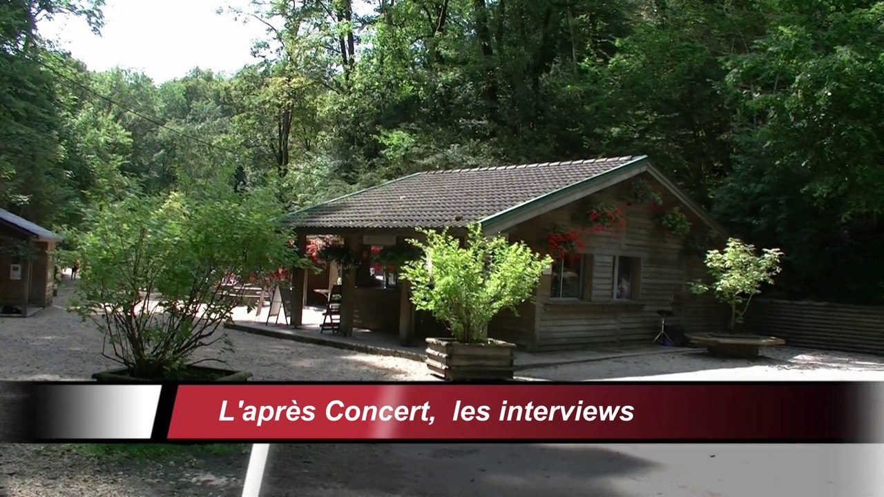 L'après concert, les interviews à chaud