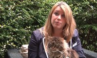 Journée du chat : tout ce que vous avez toujours voulu comprendre sur votre félin