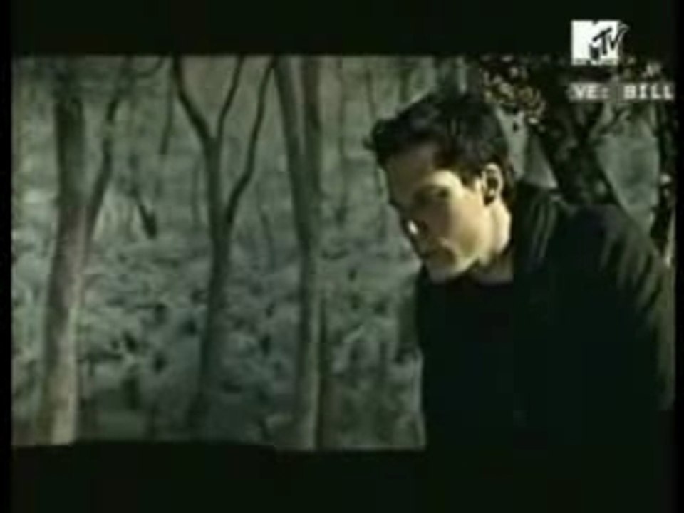 Billy Talent - Fallen Leaves