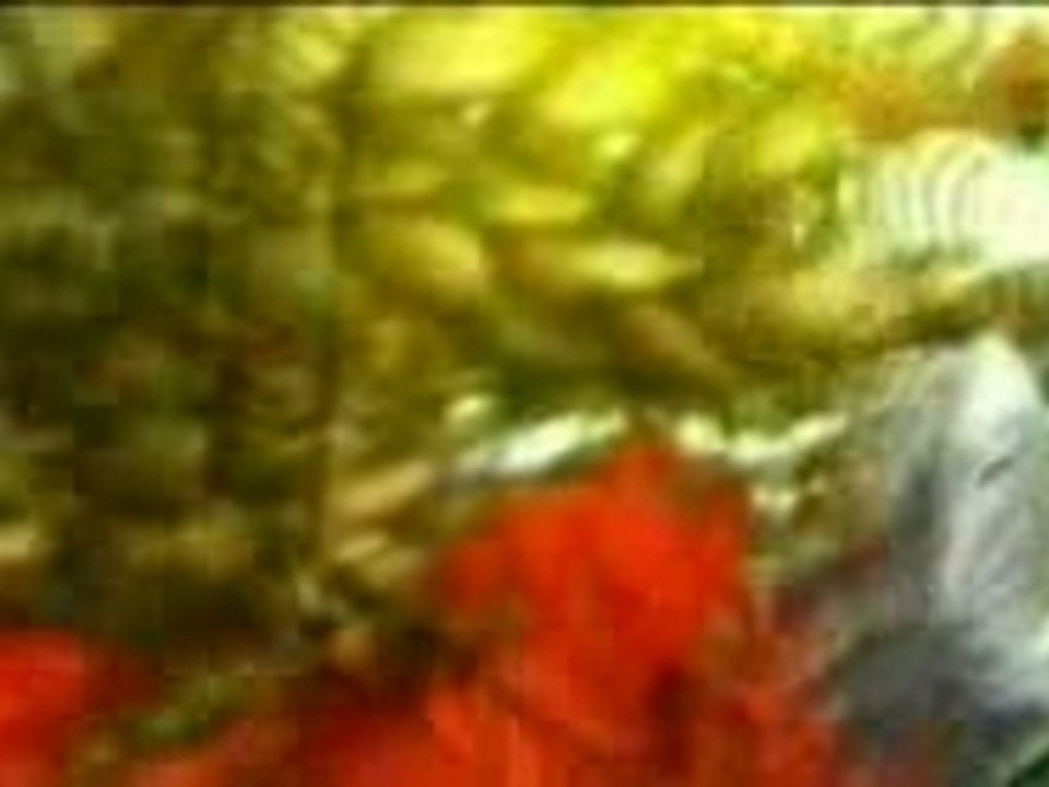 Dj Ross Vs Double You - Get up