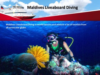 Liveaboard Diving