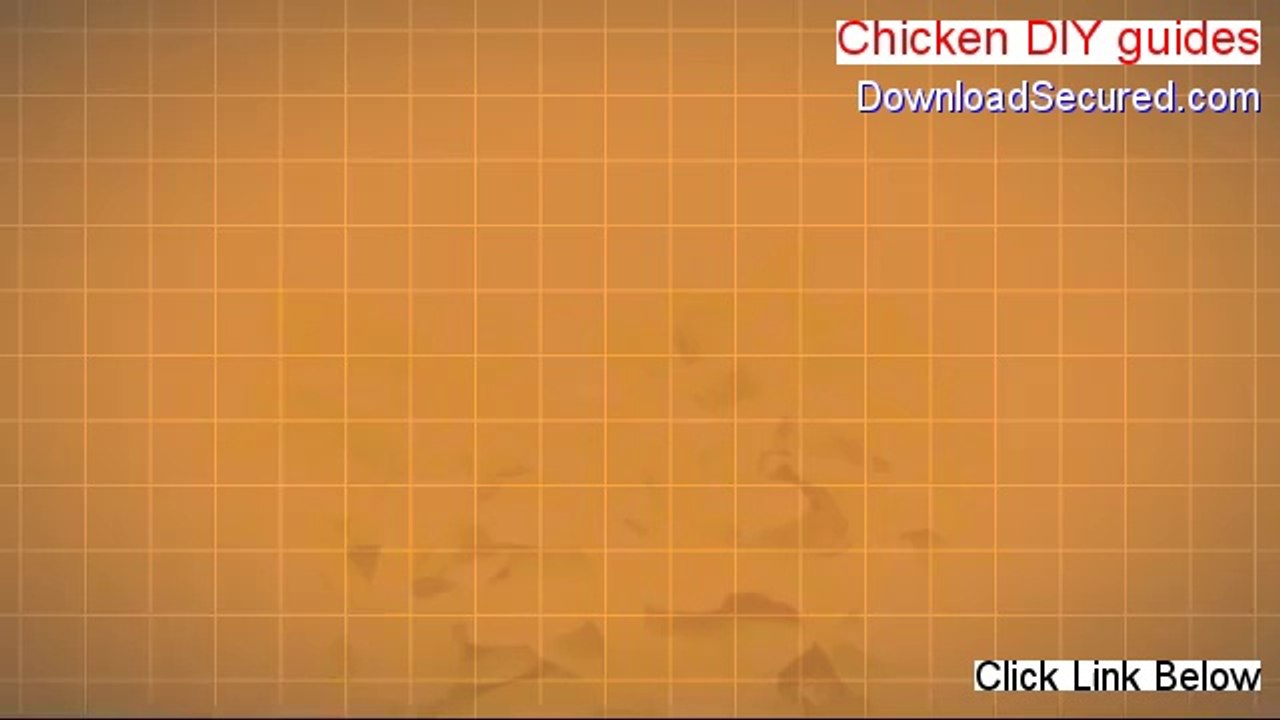Chicken DIY guides Review (Watch this)