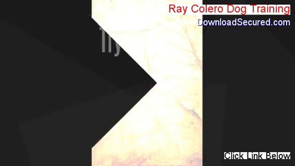 Ray Colero Dog Training Free Review (Video Review)