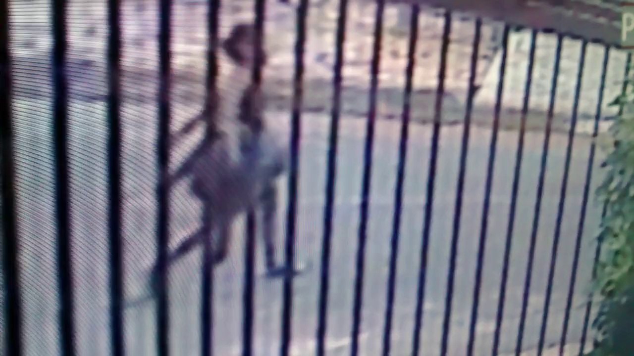 VID_20140807_161546124 (2)