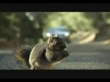 Bridgestone Commercial very funny must watch,,,,,