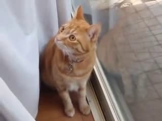 ㏂블랙잭하는곳♠‡▧▶ YAM ７７７.℃OM ◁▨㏇블랙잭하는곳블랙잭하는곳블랙잭하는곳블랙잭하는곳블랙잭하는곳블랙잭하는곳블랙잭하는곳블랙잭하는곳