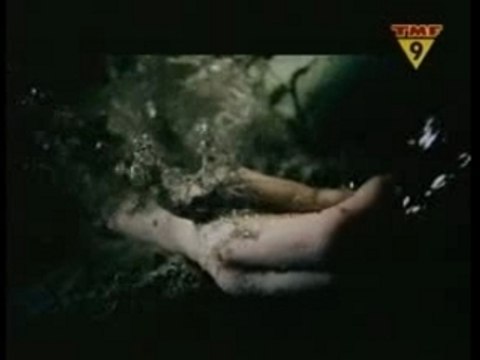 7 Colours - Lost Witness