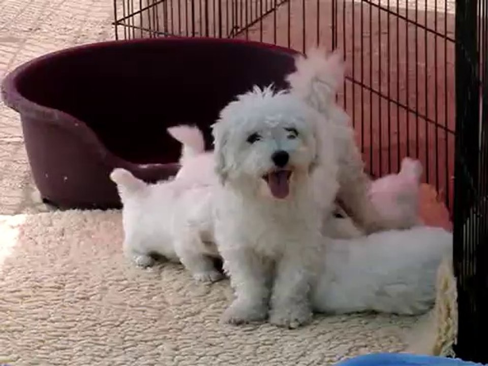 001-Bébés de Grace Kelly et Lucky Luke