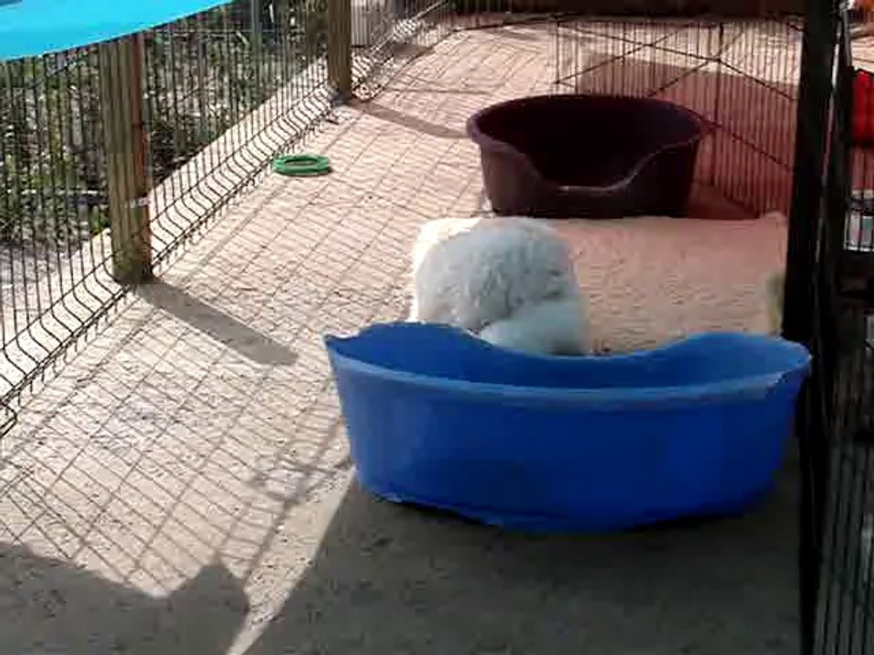 004-Bébés de Grace Kelly x Lucky Luke