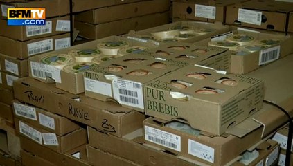 L'embargo russe, un rude coup pour les fromagers français