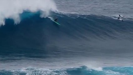Surfista brasileiro crava onda gigante no Hawaii