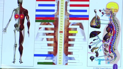 Welcome to True Core Chiropractic