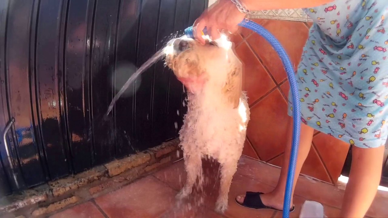 Bañando a Noa | Showing Noa