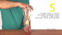 Egg in the Bottle Trick - Sick Science! #113