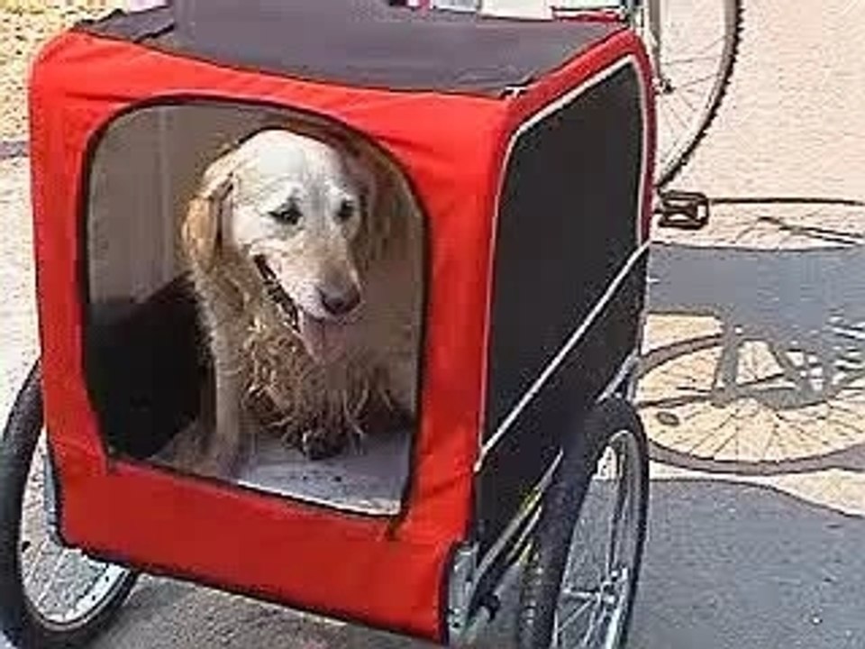 Hundfahr