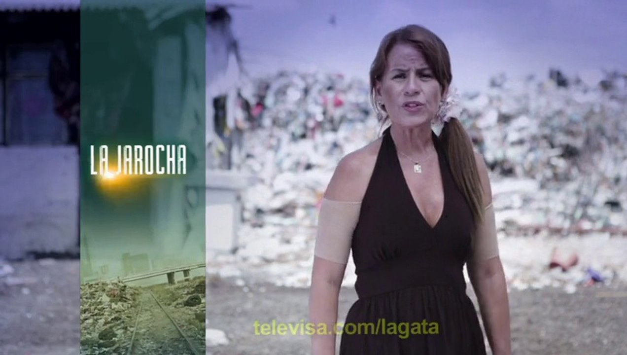 Testimonio La Jarocha