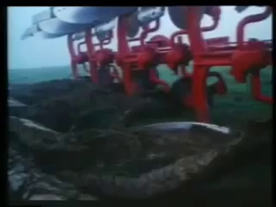 Massey Ferguson - Farmers First and Foremost (1978, UK)