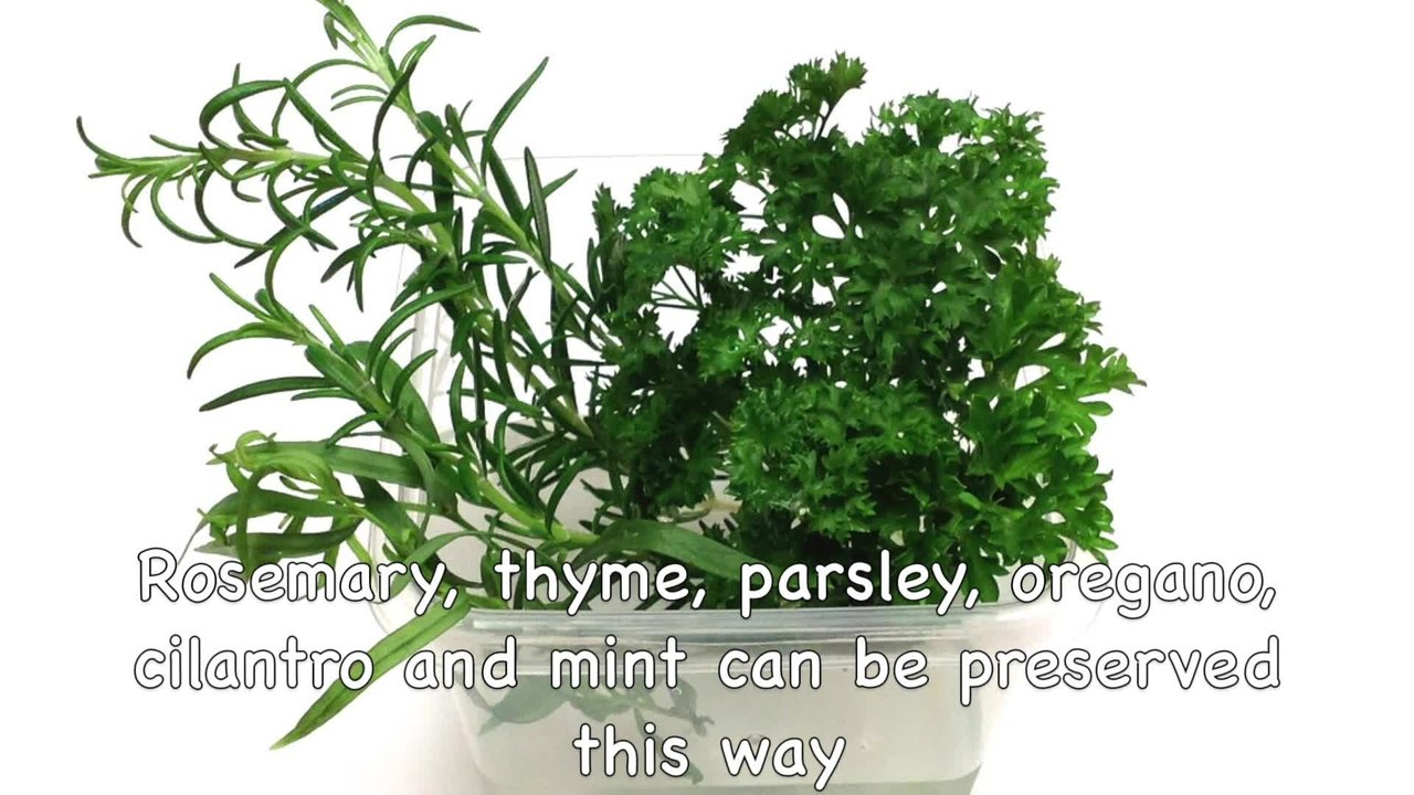 How to store fresh herbs in the fridge video Dailymotion