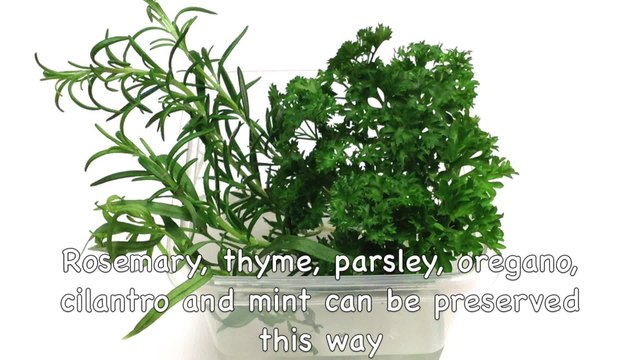 How to store fresh herbs in the fridge