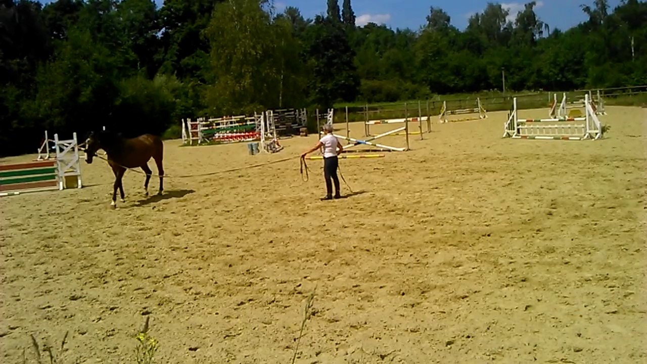 2014-07-31 14.20.01 EBENE