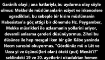 Hz Muhammed (sav) efendimizin hayatından (6)