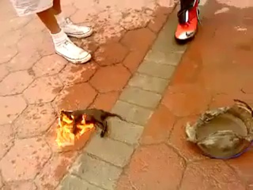 semtitulo45464