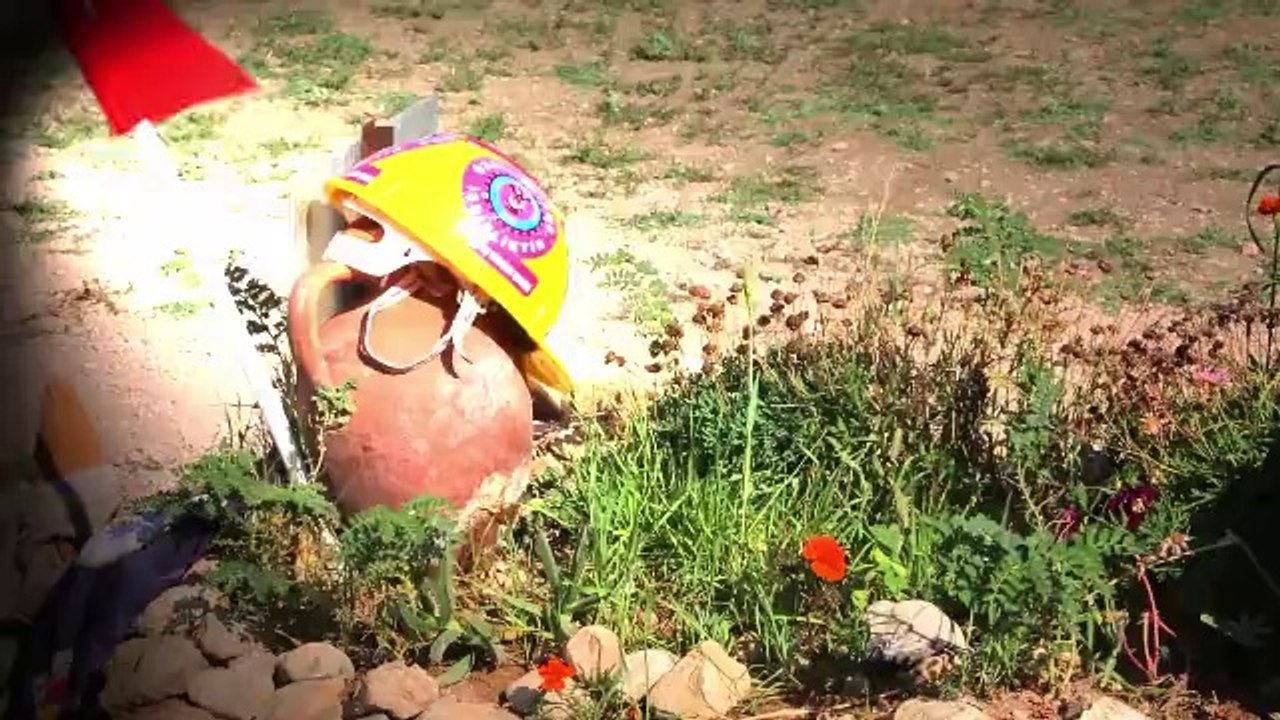Somada Hayat Devam Ediyor mu ?