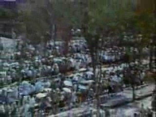 サルビアの花-早川義夫