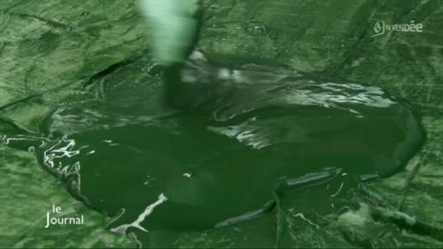 Algues : La spiruline bientôt dans nos assiettes (Vendée)