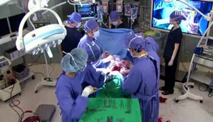 clams ＜역삼오피＞ 즐겨박기 《천안오피》