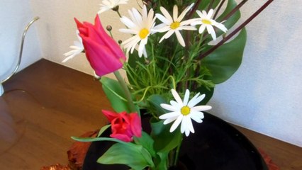Japanese Ikebana!