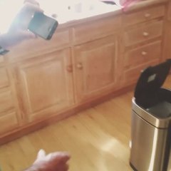 Funny Motion Detector Trash Cans