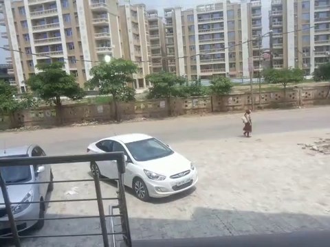 Hollywood Plaza in Vip Road Zirakpur-9988010405